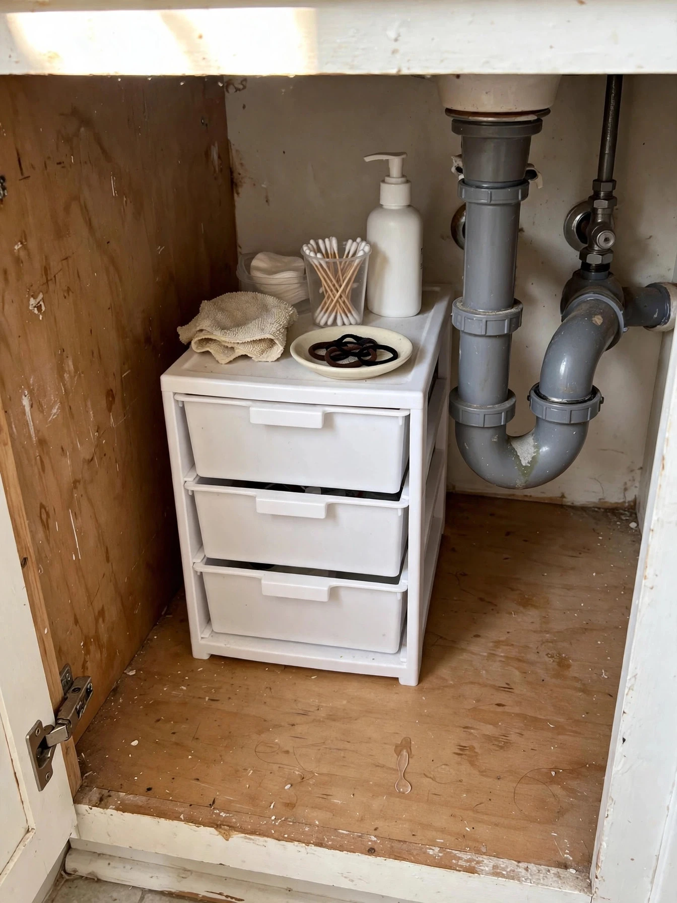 Bathroom vanity cabinet neatly organized under the sink with bins, a tiered riser and toiletries in their own zones